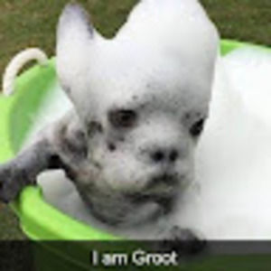 Meet your Posher, Jamie